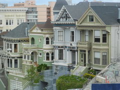 Painted Ladies